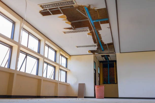 Best Basement water damage restoration  in , HI