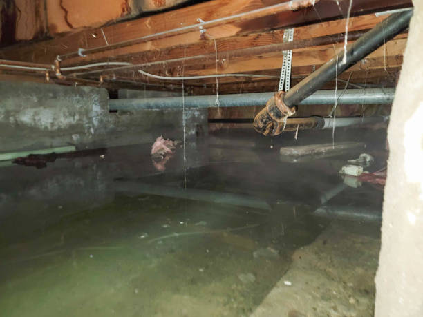 Best Emergency water damage restoration  in , HI