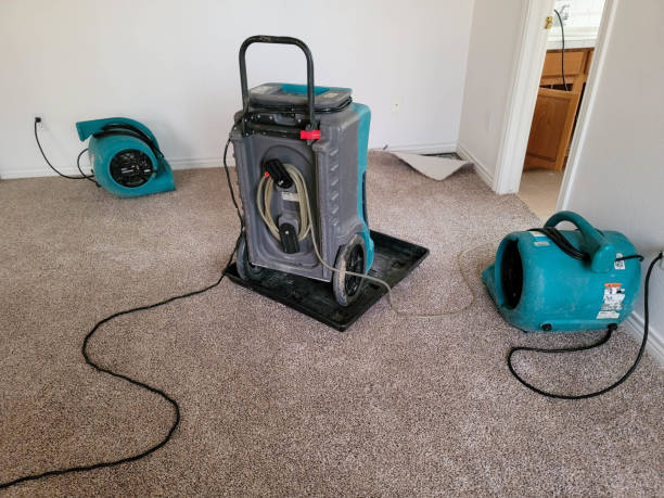 Best 24-hour water damage restoration  in , HI