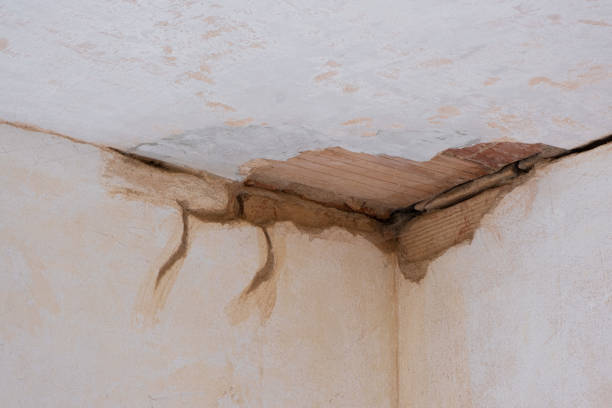 Best Ceiling water damage repair  in , HI