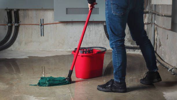 Best Carpet water damage restoration  in , HI