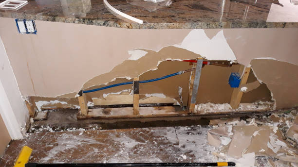 Best Water damage restoration near me  in , HI