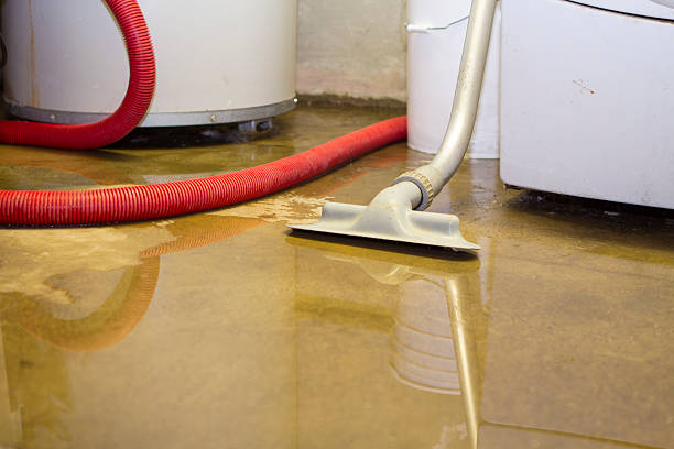 Best Flood damage cleanup  in , HI