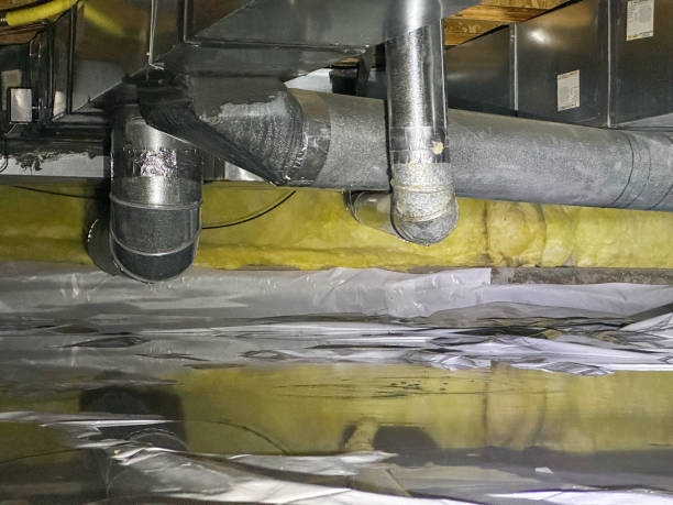 Best Water damage cleanup near me  in , HI
