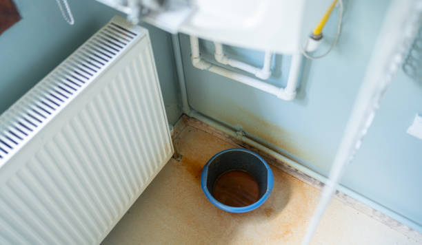 Best Flood restoration services  in , HI
