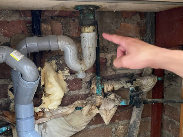Best Flooded house restoration  in , HI
