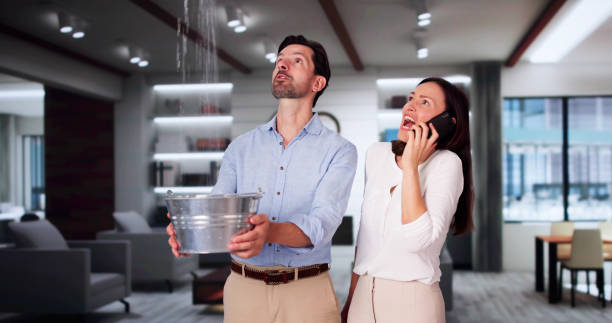 Best 24-hour water damage restoration  in , HI