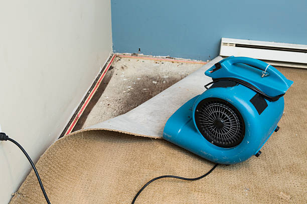 Best Water damage restoration company  in , HI