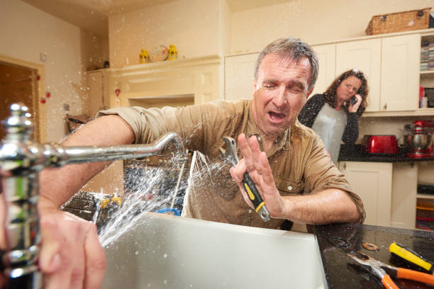 Best Local water damage restoration  in , HI